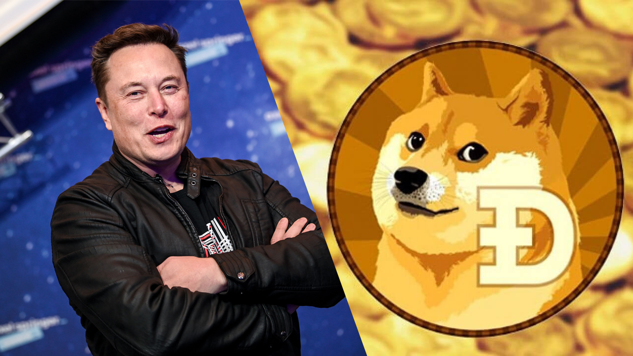 elon musk dogecoin