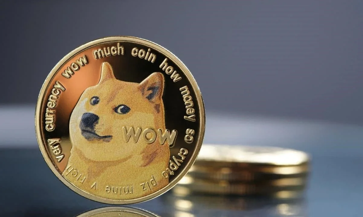 Dogecoin price surge